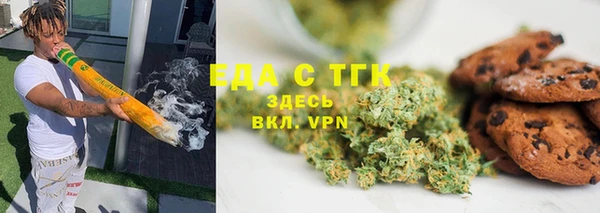 индика Богородицк
