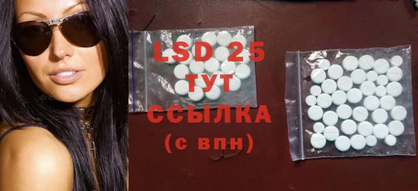 индика Богородицк