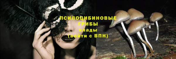 мет Богданович