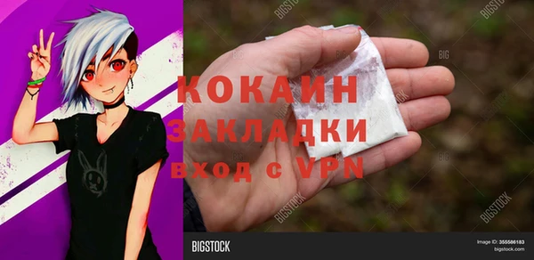 индика Богородицк