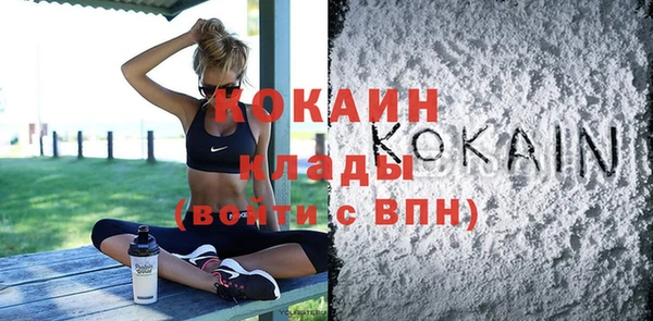 индика Богородицк