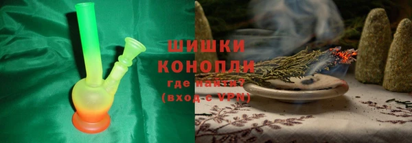 индика Богородицк