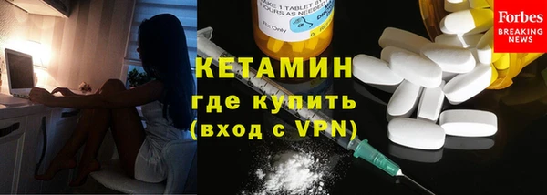 индика Богородицк