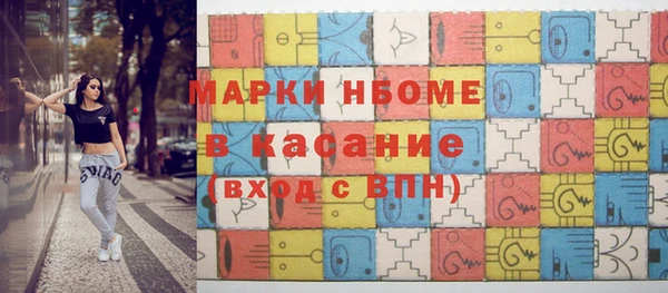 индика Богородицк