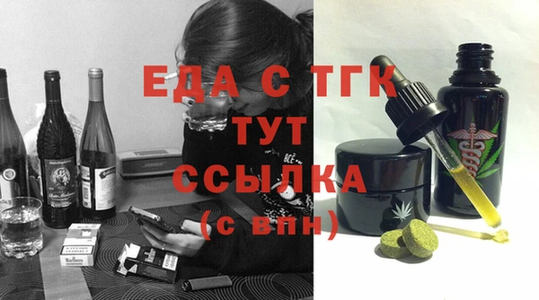 индика Богородицк