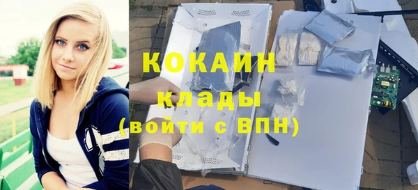 индика Богородицк