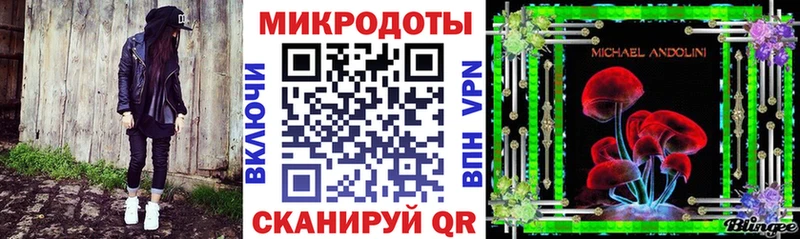Купить  Каневская  Галлюциногенные грибы Psilocybe 